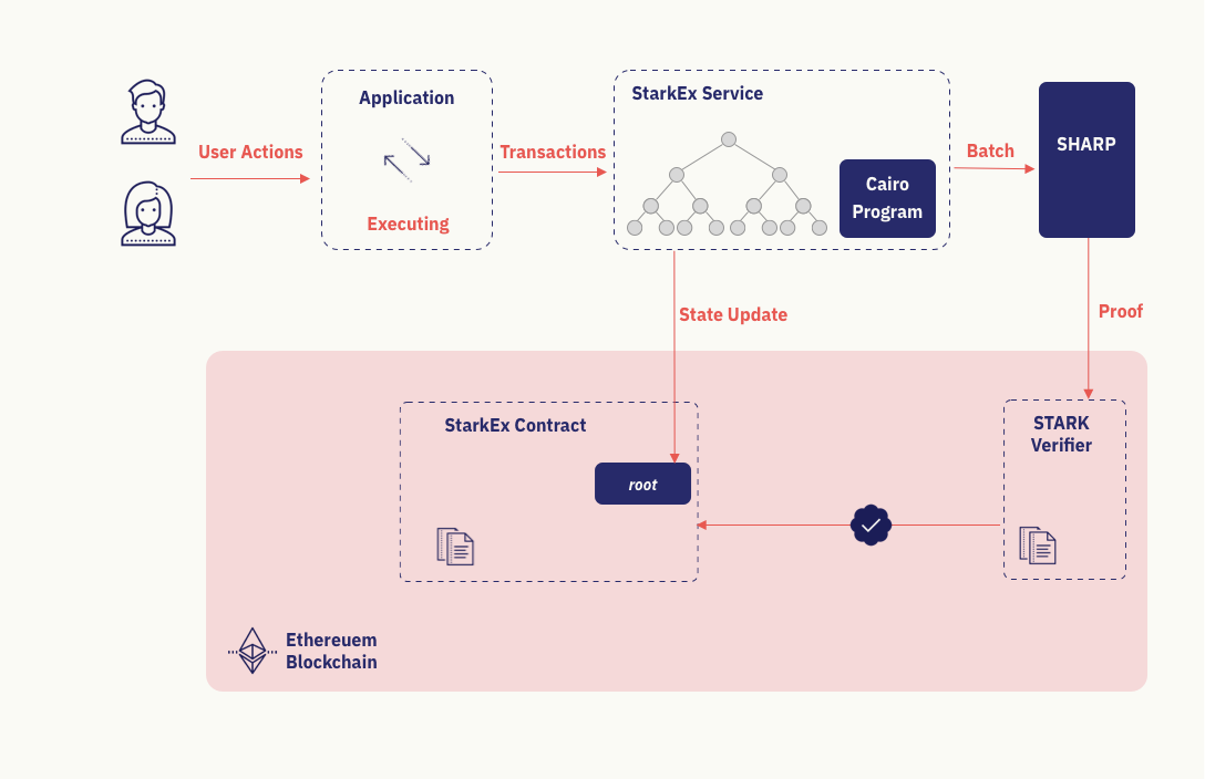 StarkNet components